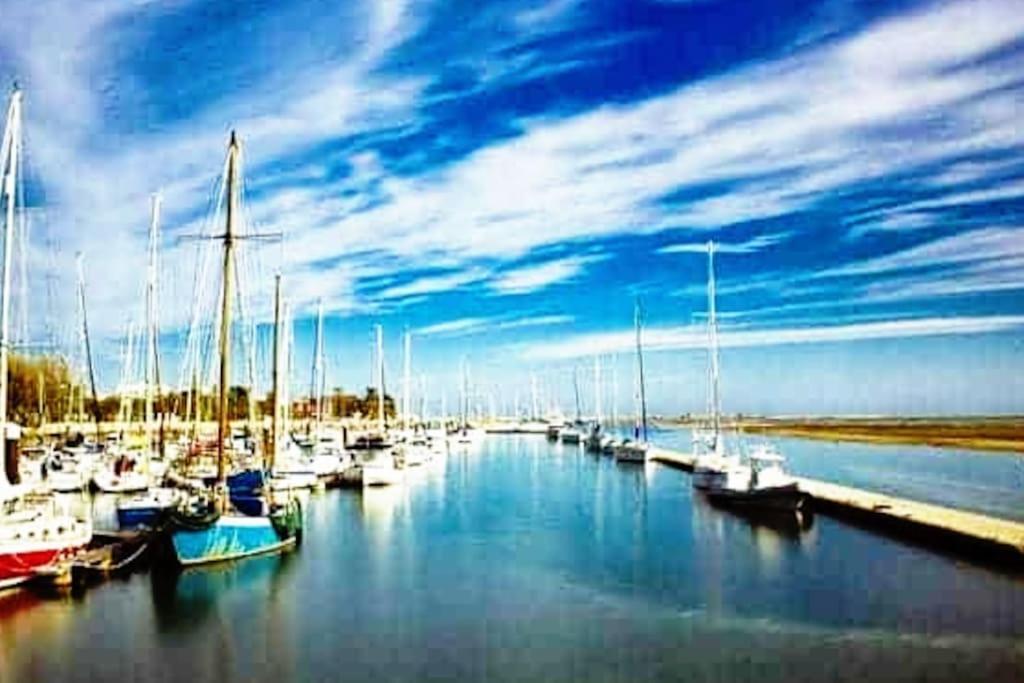 A Gaivota Ria Formosa Waterfront Lux Apart With Pool, Olhao, Algarve Εξωτερικό φωτογραφία